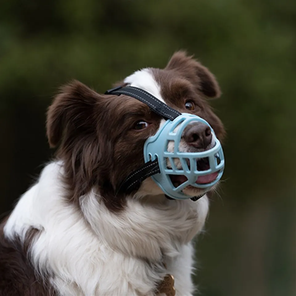 Bozal para perro estilo cesta