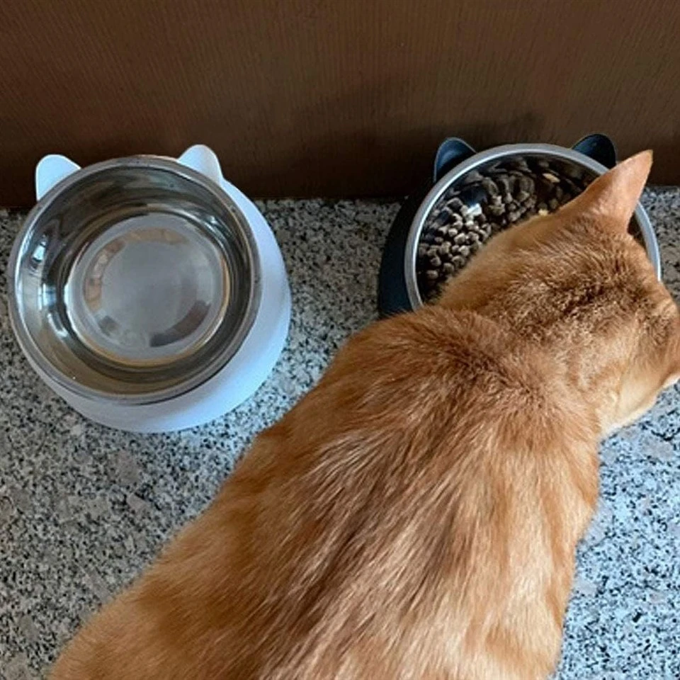 Elevated Stainless Steel Cat Bowls best