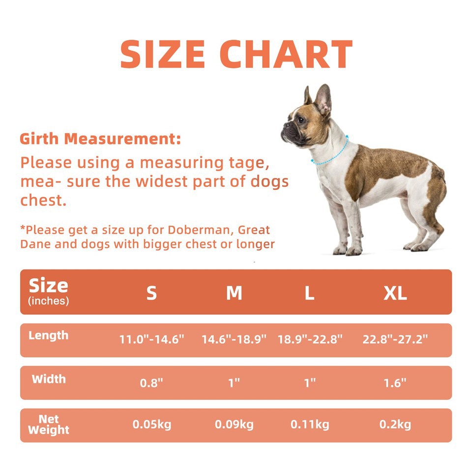 Neoprene Padded Dog Collar best