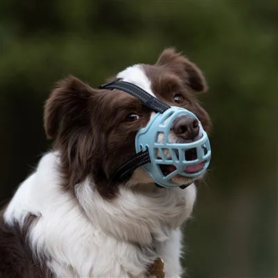 Bozal para perro estilo cesta
