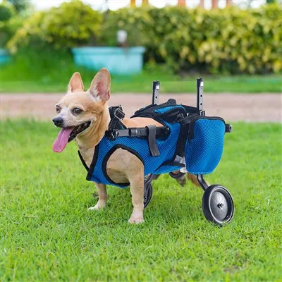 Silla de ruedas para perros pequeños para patas traseras