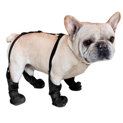Tirantes de zapatos para perros
